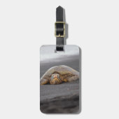 Zee Turtle - Black Sand Beach - Bagagelabel (Voorkant verticaal)