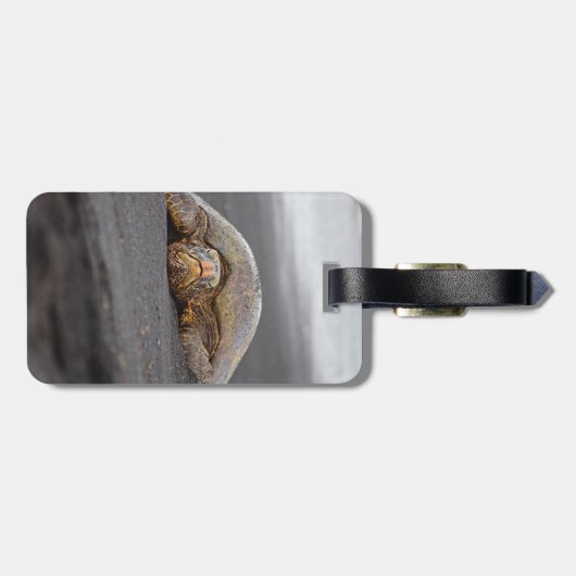 Zee Turtle - Black Sand Beach - Bagagelabel (Achterkant horizontaal)