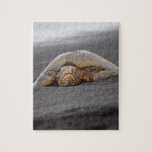 Zee Turtle Black Sand Beach Hawaii 8x10 - 110 pc Legpuzzel