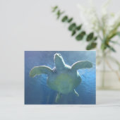 Zee Turtle Briefkaart (Staand voorkant)