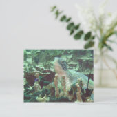 Zee Turtle Briefkaart (Staand voorkant)