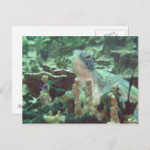 Zee Turtle Briefkaart (Voorkant / Achterkant)