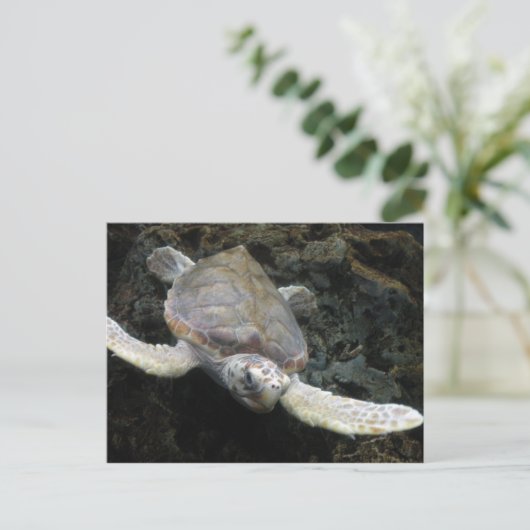 Zee Turtle Briefkaart (Staand voorkant)