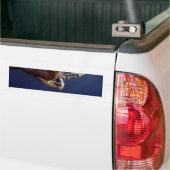 Zee Turtle Diving Bumpersticker (Op Truck)