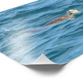 Zee Turtle Foto Afdruk (Hoek)