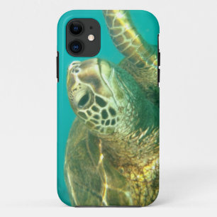 Zee Turtle iPhone case