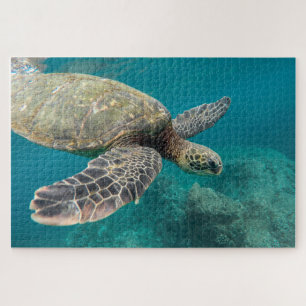 Zee Turtle Jigzaag Puzzle Legpuzzel
