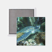 Zee Turtle Magneet (Voorkant / Achterkant)