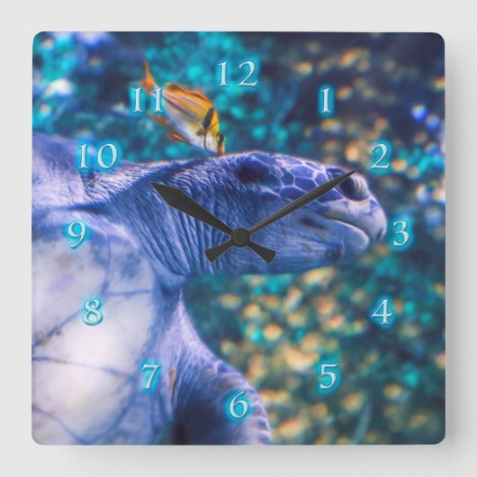 ZEE TURTLE MANICTION VIERKANTE KLOK (Voorkant)