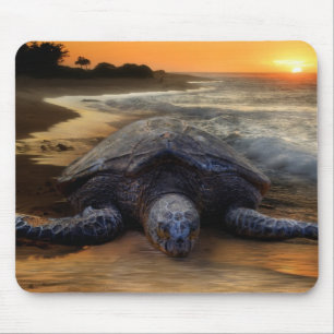Zee Turtle Mousepad Muismat