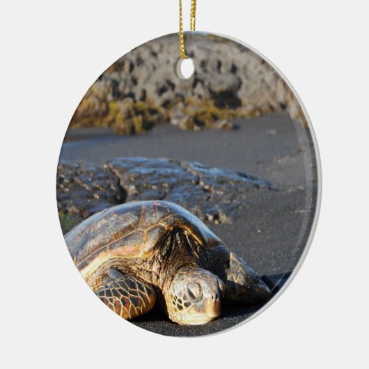 Zee Turtle Ornament (Links)