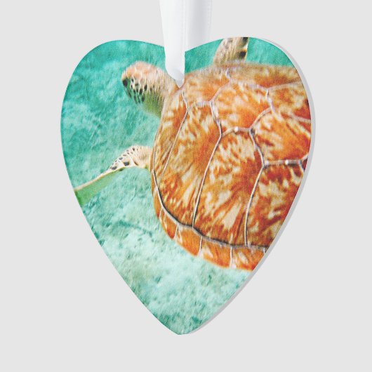 Zee Turtle Ornament (voorkant)