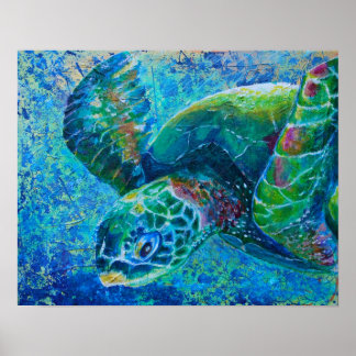 Zee Turtle Poster