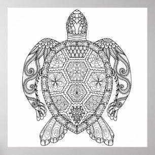 ZEE TURTLE POSTER