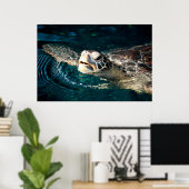 Zee Turtle Poster (Thuiskantoor)