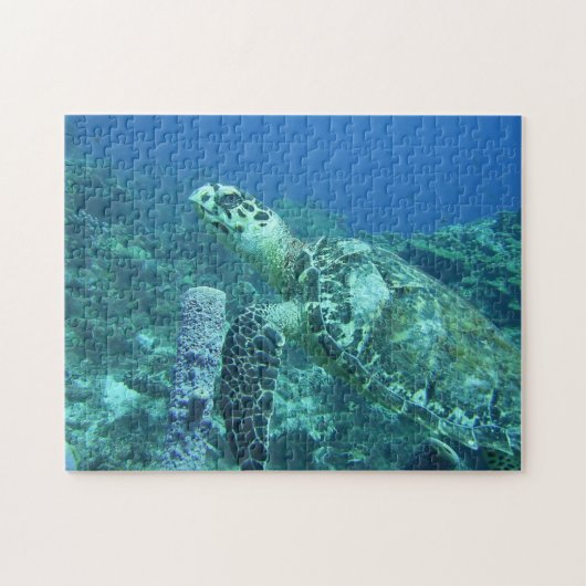 Zee Turtle Puzzle Legpuzzel (Horizontaal)