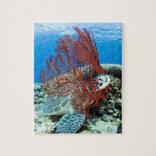 Zee Turtle Resting Legpuzzel
