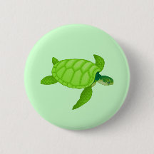 Zee Turtle
