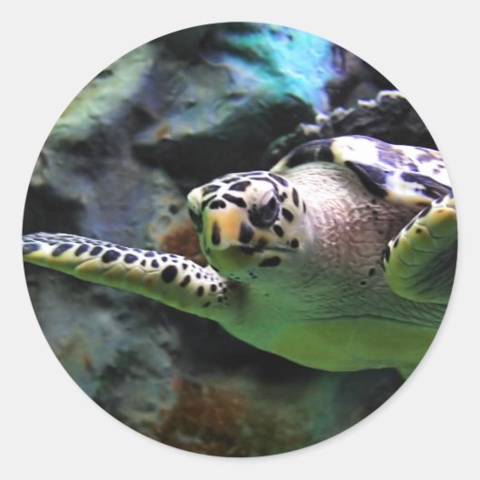 Zee Turtle Ronde Sticker (Voorkant)