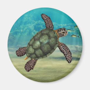 Zee Turtle Round Magneet