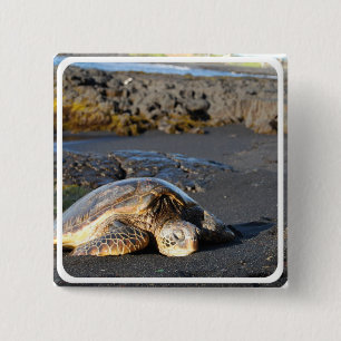 Zee Turtle Square Pin Vierkante Button 5,1 Cm