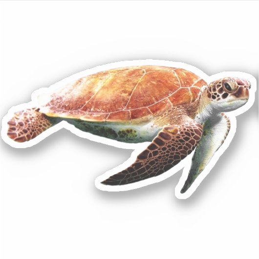 Zee Turtle Sticker (Voorkant)
