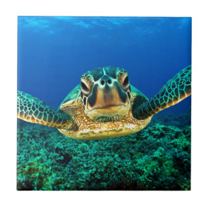 Zee Turtle Tegeltje