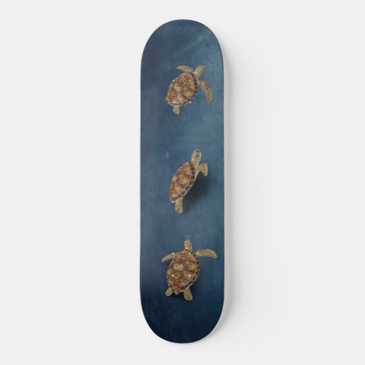 Zee Turtle Trio Skateboard (Voorkant)