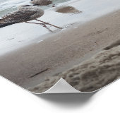 Zee uitzicht: golven en meeuwen poster (Hoek)