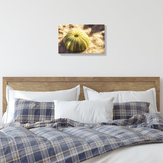 Zee Urchin op nat zeeen zand Canvas Print (Insitu (Slaapkamer))