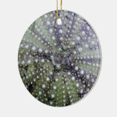 Zee Urchin Seashell Keramisch Ornament (Links)