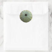 Zee Urchin Shell Ronde Sticker (Tas)