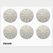 Zee Urchin Stickers (Vel)