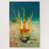 Zee Urchins Legpuzzel (Verticaal)