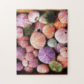 Zee urchins puzzel (Verticaal)