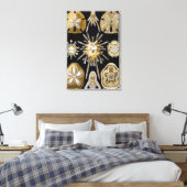  Zee Urchins Zanddollars van Ernst Haeckel Canvas Afdruk (Insitu (Slaapkamer))