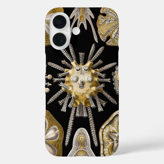  Zee Urchins Zanddollars van Ernst Haeckel Case-Mate iPhone Case (Achterkant)