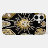  Zee Urchins Zanddollars van Ernst Haeckel Case-Mate iPhone Case (Achterkant (horizontaal))