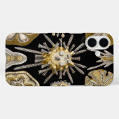  Zee Urchins Zanddollars van Ernst Haeckel Case-Mate iPhone Case (Achterkant (horizontaal))