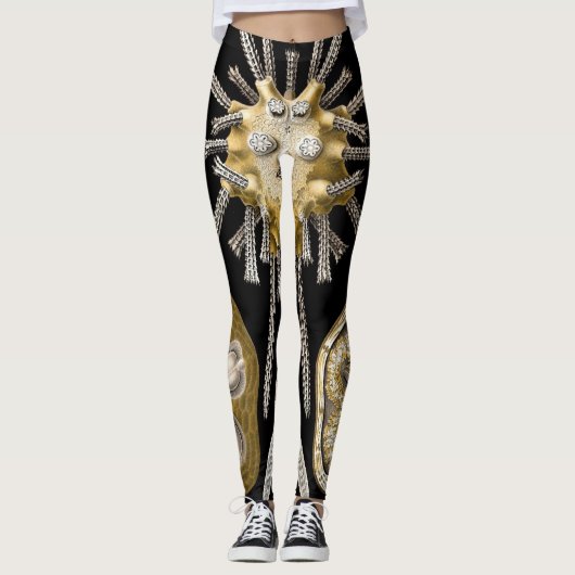  Zee Urchins Zanddollars van Ernst Haeckel Leggings (Voorkant)