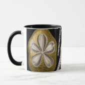  Zee Urchins Zanddollars van Ernst Haeckel Mok (Links)