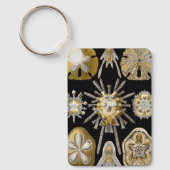  Zee Urchins Zanddollars van Ernst Haeckel Sleutelhanger (Voorkant)
