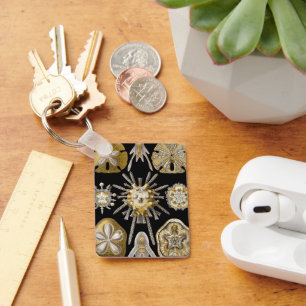  Zee Urchins Zanddollars van Ernst Haeckel Sleutelhanger