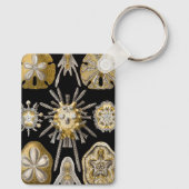  Zee Urchins Zanddollars van Ernst Haeckel Sleutelhanger (Achterkant)