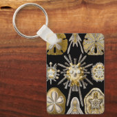  Zee Urchins Zanddollars van Ernst Haeckel Sleutelhanger (Voorkant)