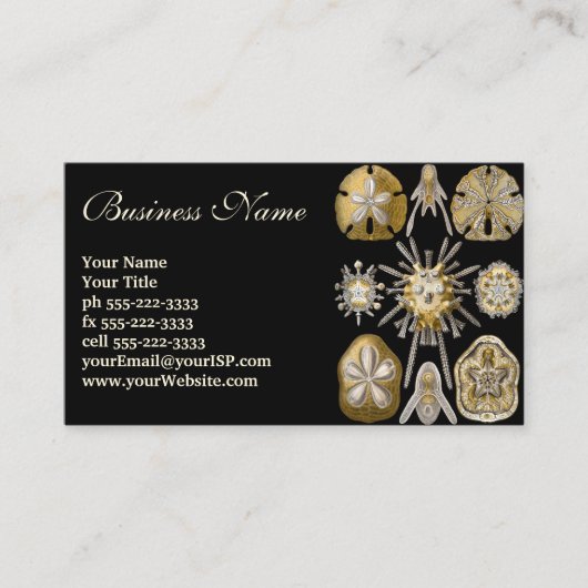  Zee Urchins Zanddollars van Ernst Haeckel Visitekaartje (Voorkant)