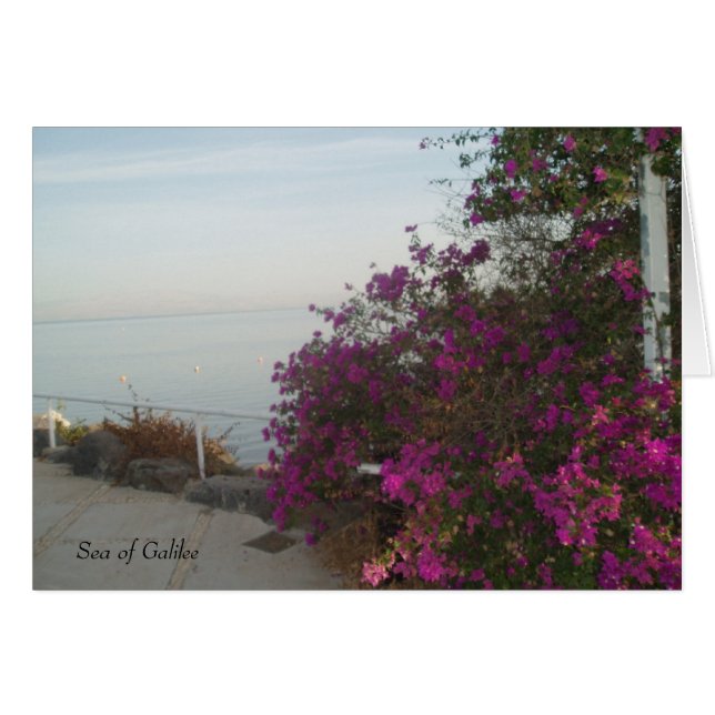 Zee van de Galileekaart (Voorkant Horizontaal)