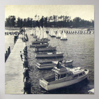 Zee van kamp Gull Pier Foto Poster