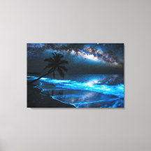Zee van sterren Bioluminescentie - Vaadhoo Malediv