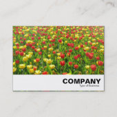 Zee van Tulpen II Visitekaartje (Voorkant)